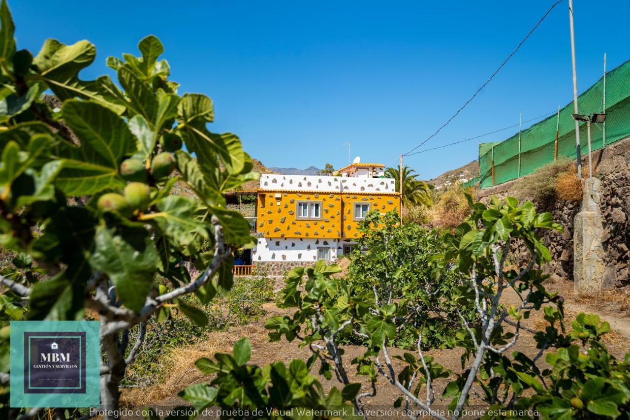 הוילה לאס פאלמס דה גראן קנאריה Casa Ignacita Vv מראה חיצוני תמונה